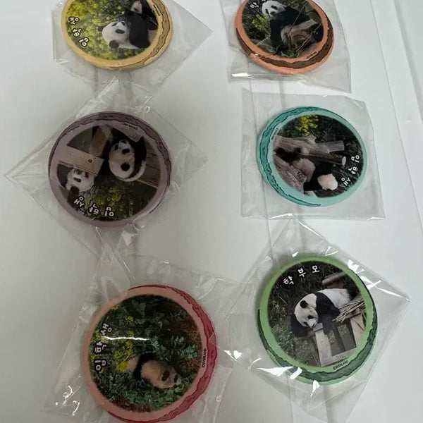 [BUNJANG] Everland Louishui New Term Badge Bundle Set / 에버랜드 루이후이 신학기 배지 드볼