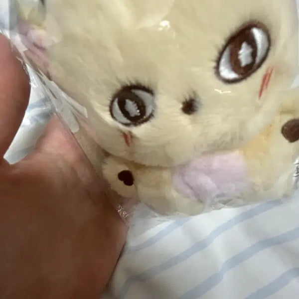 [BUNJANG] Park Jihoon 'Sosimi' Sealed Item / 박지훈 소심이 미개봉 양도