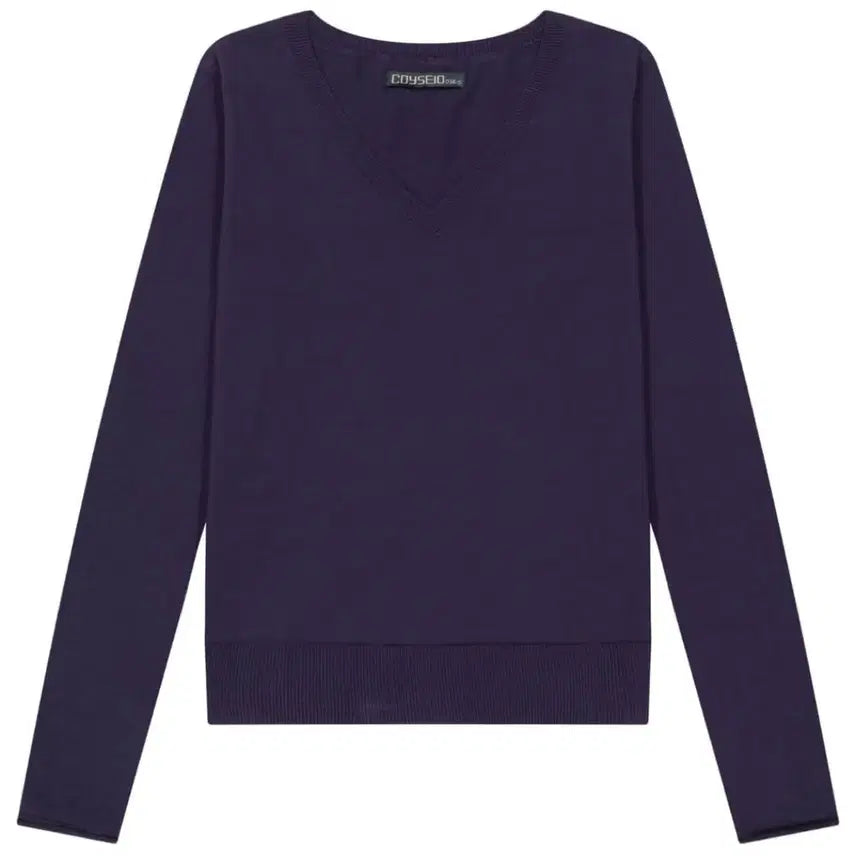 [BUNJANG] COYSEIO Basic V-Neck Knit Purple (M) / COYSEIO 코이세이오038 베이직 브이넥 니트 퍼플   M사이즈