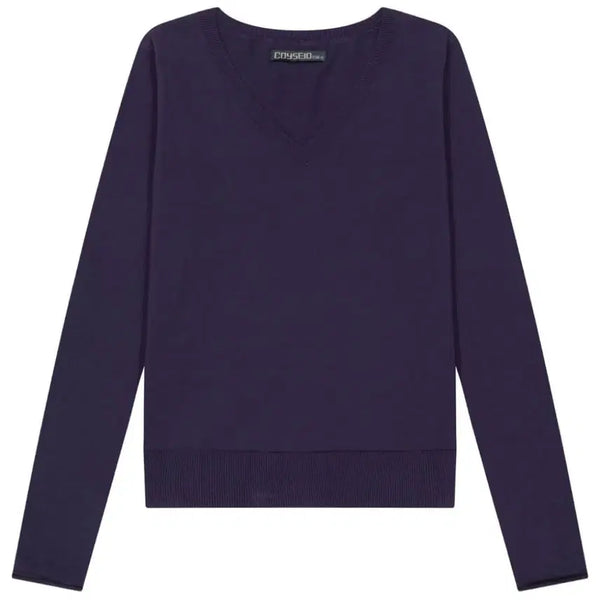 [BUNJANG] COYSEIO Basic V-Neck Knit Purple (M) / COYSEIO 코이세이오038 베이직 브이넥 니트 퍼플   M사이즈