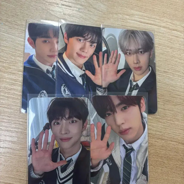 [BUNJANG] ZB1 ZB1 Concert Photocards Bundle Set / 앤더블 중콘 퇴장포카