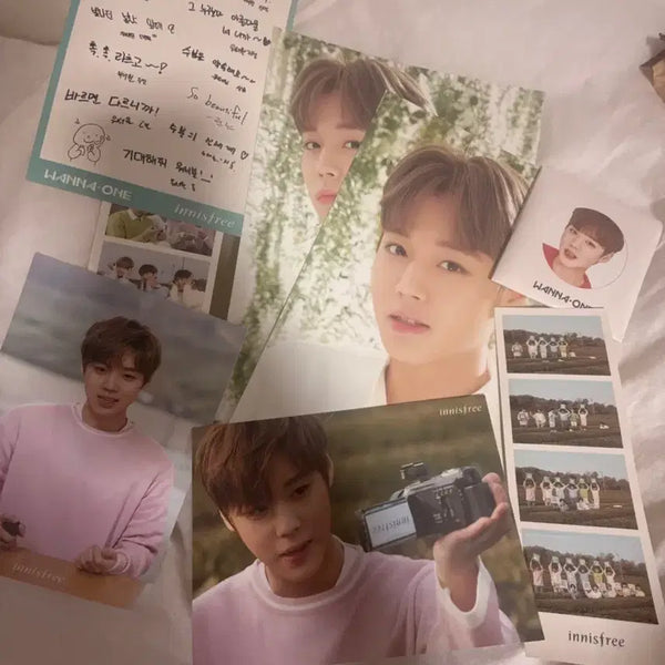 [BUNJANG] Park Jihoon Innisfree Photocard / 박지훈 이니스프리 굿즈