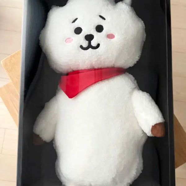 [BUNJANG] BT21 RJ Standing Doll Medium / BT21 RJ 알제이 스탠딩인형 미디움