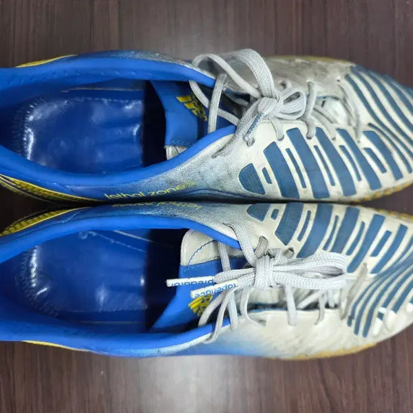 [BUNJANG] Adidas Predator Elitezone FG Soccer Cleats (265mm) / 아디다스 프레데터 리셀존 fg 265