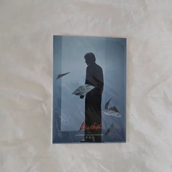[BUNJANG] Musical Beethoven Accordion Postcard Set / 뮤지컬 베토벤 아코디언엽서 양도해요.