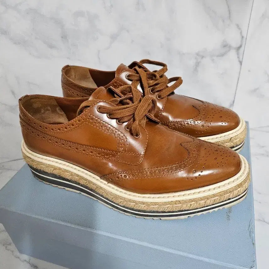 [BUNJANG] Prada Wingtip Shoes Brown / 프라다 윙팁 슈즈 브라운