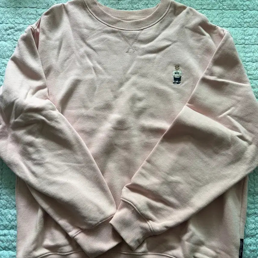 [BUNJANG] Whoohoo Bear Embroidery Sweatshirt / 후아유맨투맨