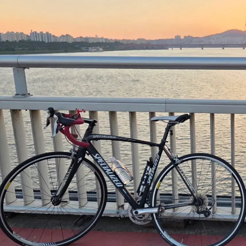 [BUNJANG] Specialized Allez Comp Road Bike M Size / 스페셜라이즈드 알레 콤프 로드 자전거 바이크 M 사이즈