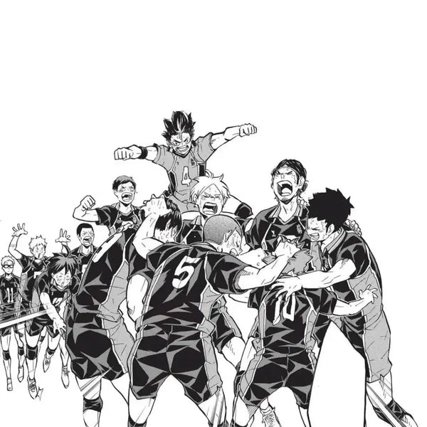 [BUNJANG] Haikyu!! Karasuno Random Box (Full Set) / 하이큐 랜박 탈덕처분 폭덤 비공굿 판매 카라스노