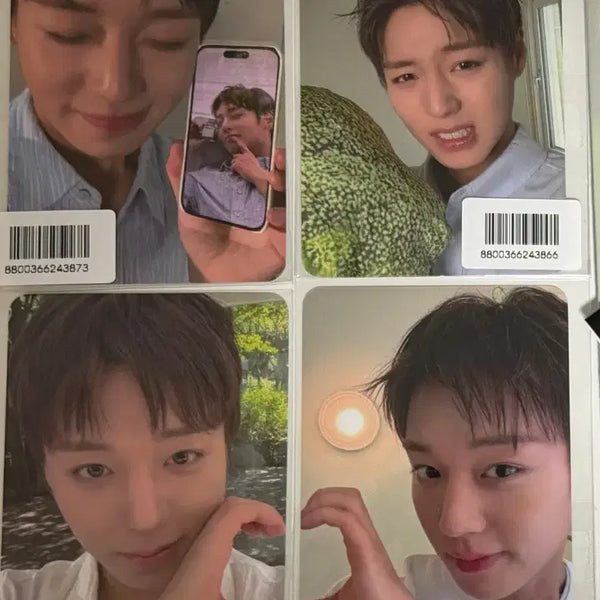 [BUNJANG] Park Ji Hoon FORMENT Photocard Bundle Set / 박지훈 포맨트 포토카드 (올리브영)