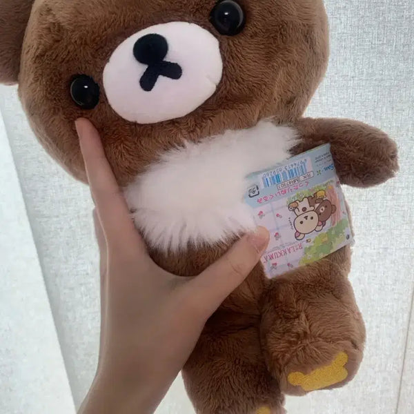 [BUNJANG] Chairoikoguma Medium Stuffed Doll / 택O) 차이로이코구마 중형 인형 M 산엑스 리락쿠마 방꾸