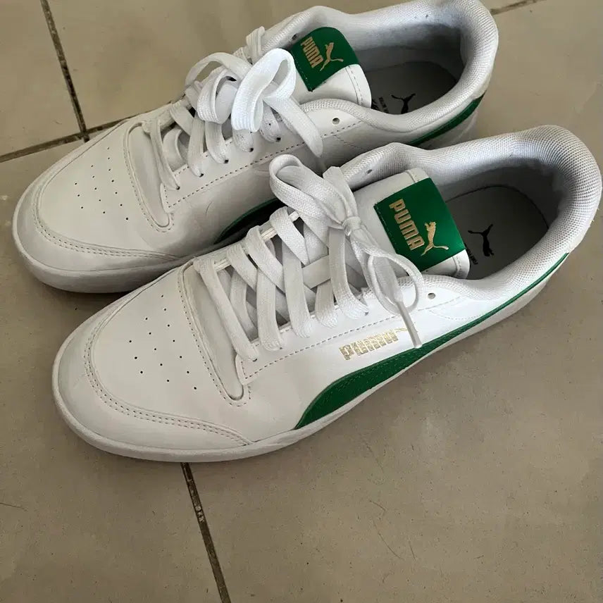 [BUNJANG] Puma Sneakers / 푸마 운동화 스니커즈 260
