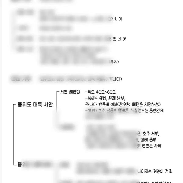 [BUNJANG] Lee Ki-sang World Geography Structural Notes 'This is Concept' / 이기상 세계지리 세지 구조도 필기 이것이 개념이다 이개다