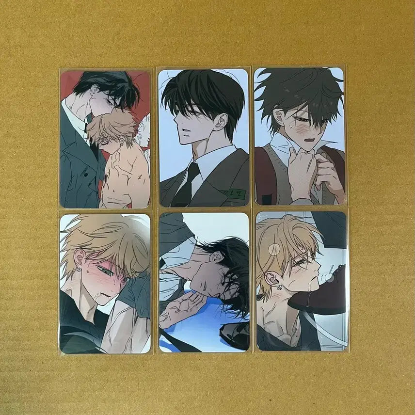 [BUNJANG] Jaeimishop Full Book Collection Photocard Set / 재이미샵 풀북 컬렉션 포토카드 6종