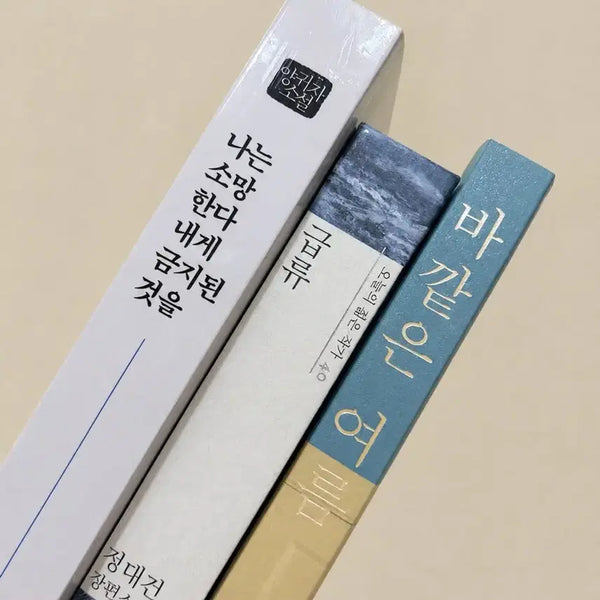 [BUNJANG] Used Novels Bundle Set - Outer Summer, Rapid Current, I Wish for What is Forbidden to Me / 책 벼룩! 중고 소설 책 판매합니다 (개별 구매 가능합니다!) 나는 소망한다 내게 금지된 것을, 급류, 바깥은 여름