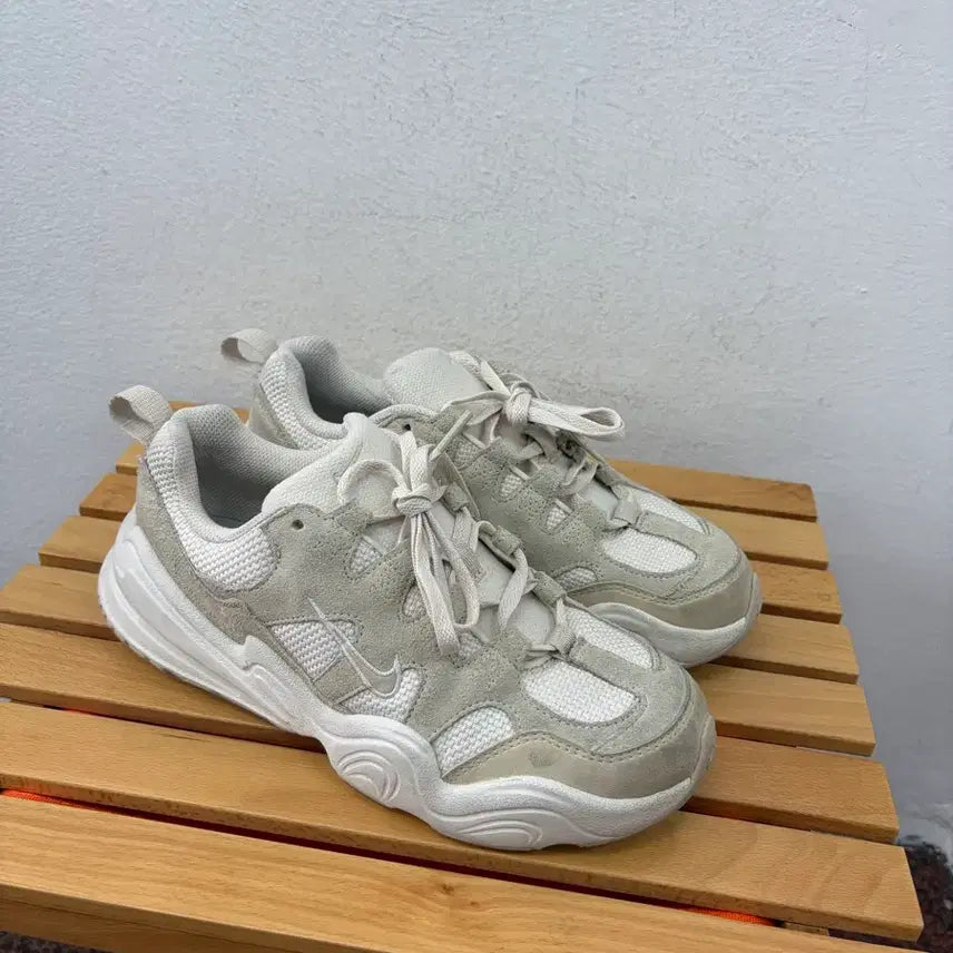 [BUNJANG] Nike Tech Hera Sneakers (Size 240) / 나이키 테크 헤라 (240)