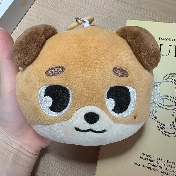 [BUNJANG] DAY6 Young K Reply Pass Pouch / 도운 릴패스 파우치