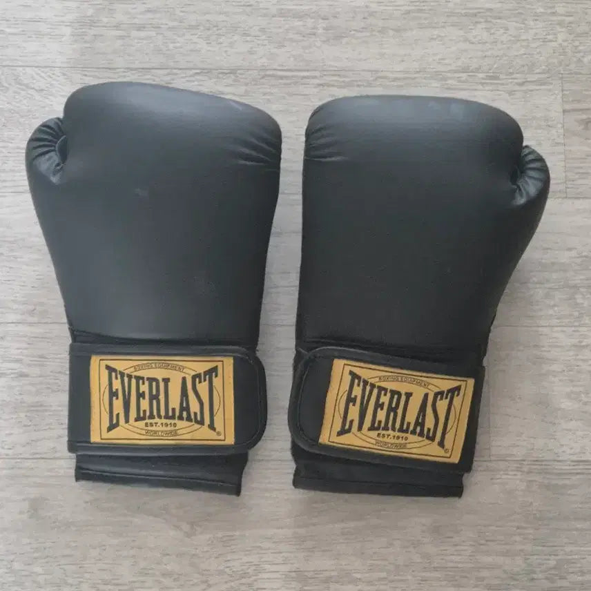 [BUNJANG] Everlast Boxing Gloves 14oz / 에버라스트 복싱 글러브 14oz[부산직거래]