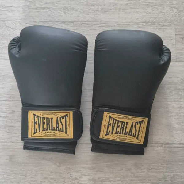 [BUNJANG] Everlast Boxing Gloves 14oz / 에버라스트 복싱 글러브 14oz[부산직거래]