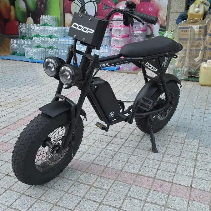 [BUNJANG] AU Tech COOP Electric Scooter / AU테크 COOP 자토바이 팝니다
