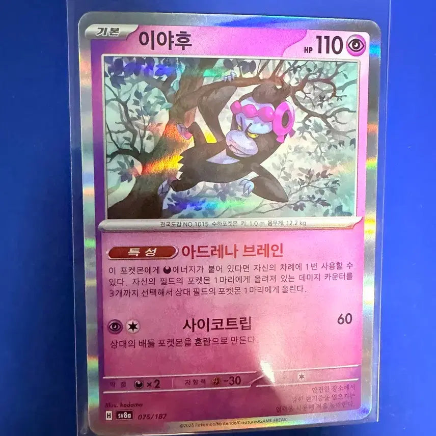 [BUNJANG] Pokemon Card Iyahoo Holo Card / 포켓몬카드 이야후 홀로 카드