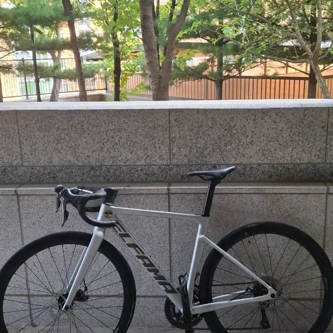 [BUNJANG] Elpama Rodner Gen2 Bicycle - Size S, Silver / 앨파마 로드너 gen2