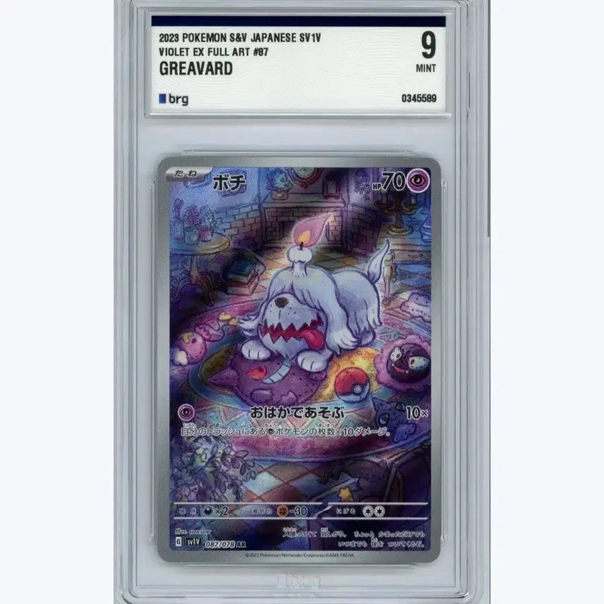 [BUNJANG] Pokemon Card Graveded AR #87 (VIOLET EX) / (일판)포켓몬 카드 그라데드ar