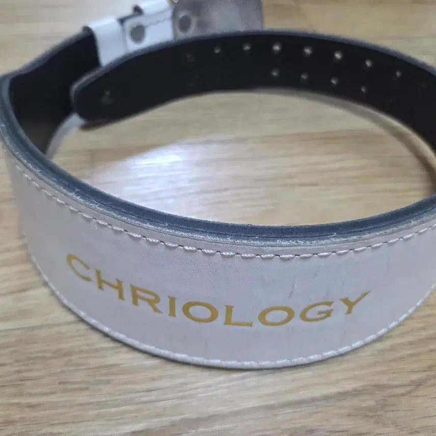 [BUNJANG] Cryolloge Belt M Size / 크리오로지 벨트 (M size)