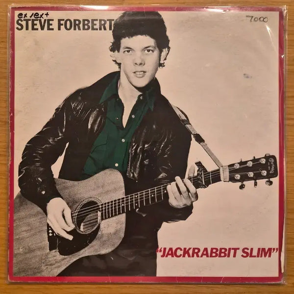 [BUNJANG] Steve Forbert LP / Steve forbert lp