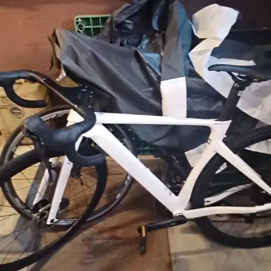 [BUNJANG] Saba 105 Road Bike / 사바 105 로드 자전거(내고 가능)대차 가능