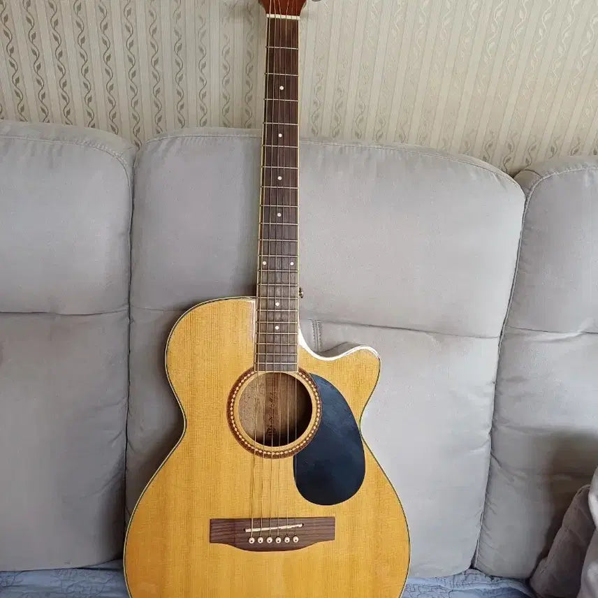 [BUNJANG] Linus Cutaway Pickup Acoustic Guitar / 리누스컷어웨이픽업통기타