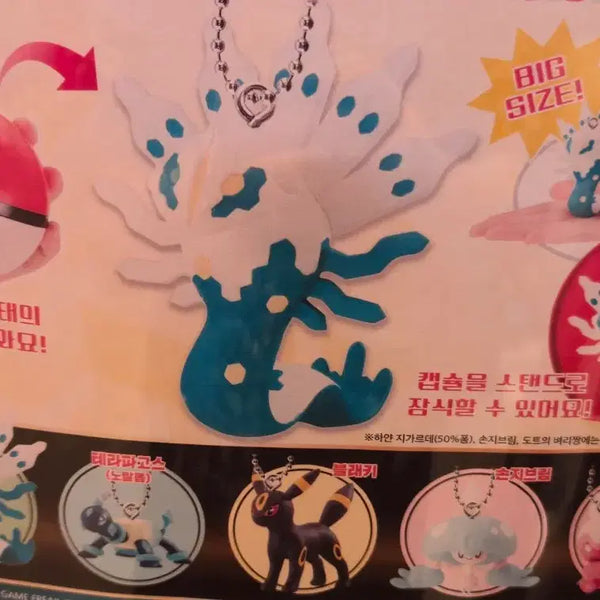 [BUNJANG] Pokemon Figure 3-Set (Terapagos/Umbreon/Froslass) / 새상품)포켓몬 피규어 3개 세트(테라파고스/블래키/벼리짱)