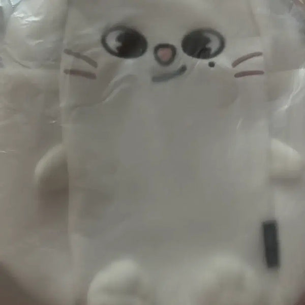 [BUNJANG] Stray Kids Run Away Japan MD Pouch / 지니렛 응원봉 파우치 스키즈 런잇 일본 엠디 md 가방 재팬