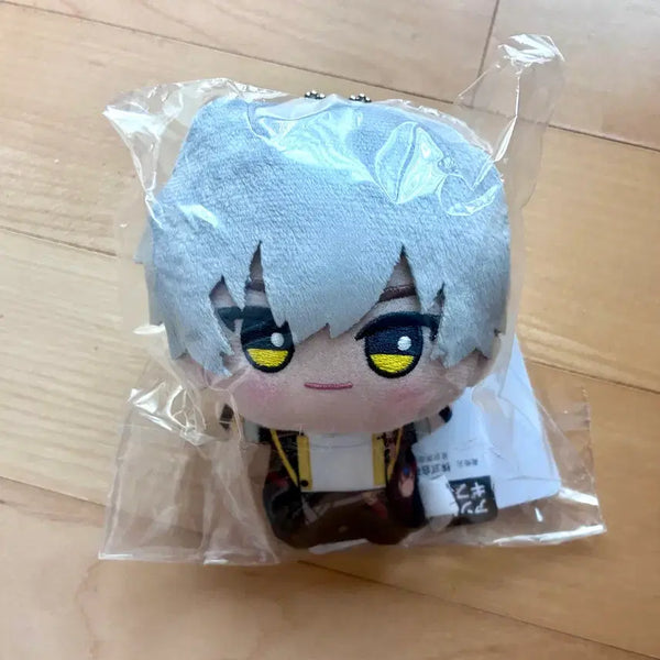 [BUNJANG] Honkai Star Rail Caelus Plush Doll / 붕스 스타레일 카일루스 남척자 누이 치비구루미