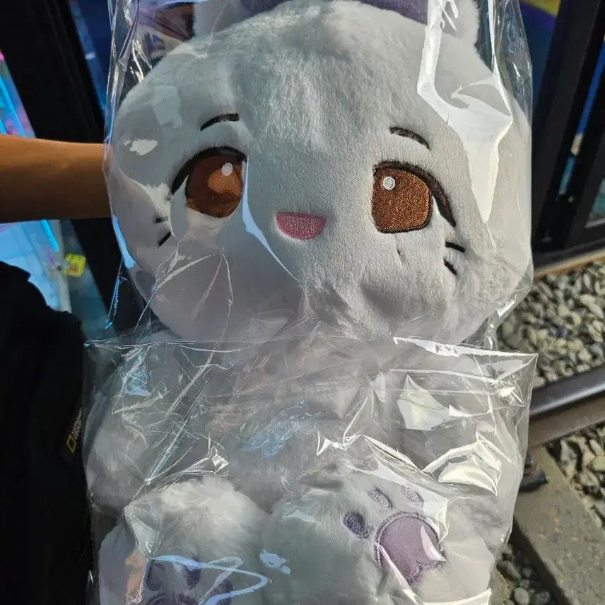 [BUNJANG] IU JjingTokki (Large) Plush Doll / 아이유 징토끼 (대왕)