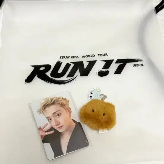 [BUNJANG] Stray Kids MANIAC Encore In Seoul Concert 3rd Day Entry Exclusive Photocard & Keyring Set / 스트레이키즈 7/29 3일차 중콘 콘서트 입장 특전 포카 키링
