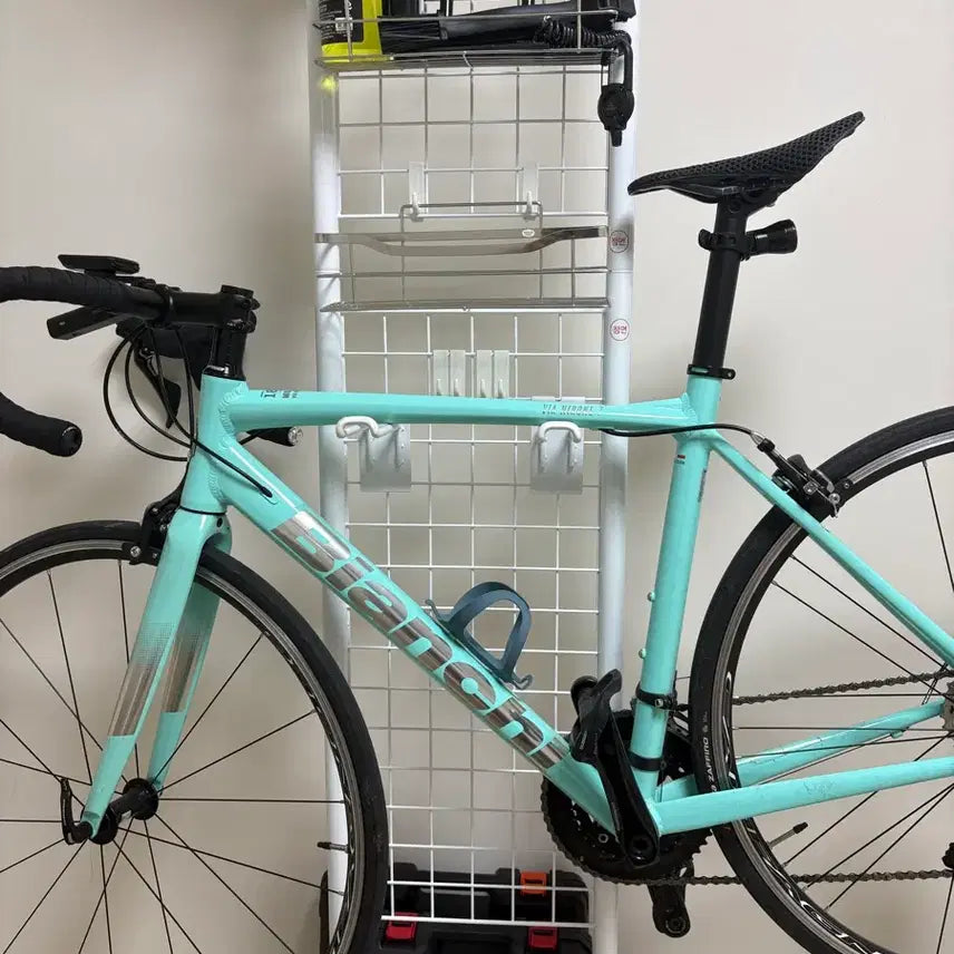 [BUNJANG] Bianchi Nirone 7 105 Entry-Level Road Bicycle / 비앙키 니로네7 105 입문용 로드자전거