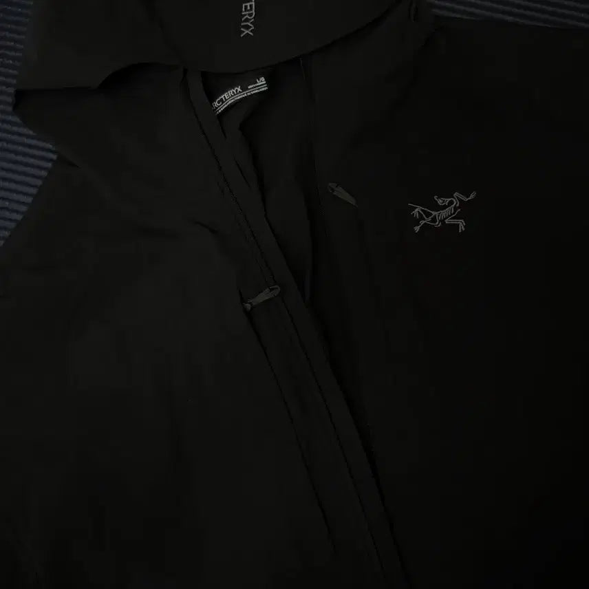 [BUNJANG] Arc'teryx Gamma Lightweight Hoodie 26ss Black L / 아크테릭스 감마 라이트웨이트 후디 26ss 블랙 L