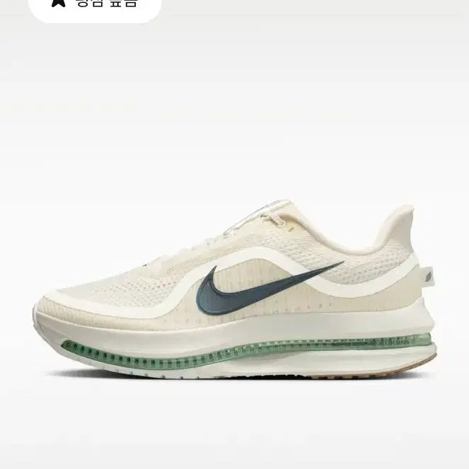 [BUNJANG] Nike Pegasus Premium Road Running Shoes / 나이키 페가수스 프리미엄 로드러닝화