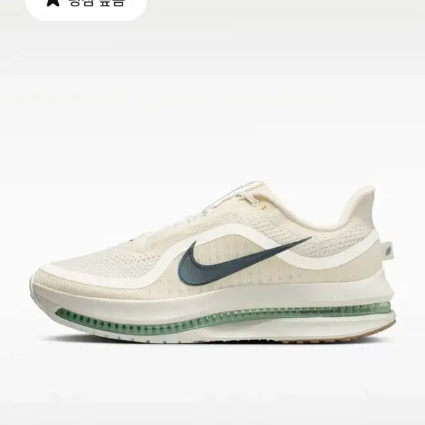 [BUNJANG] Nike Pegasus Premium Road Running Shoes / 나이키 페가수스 프리미엄 로드러닝화