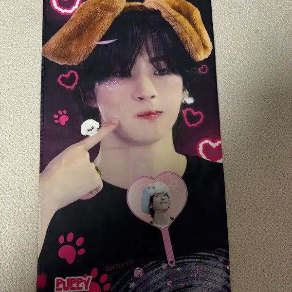 [BUNJANG] RIIZE Anton Mini Uchiwa + Fan Card Bundle Set / 라이즈 앤톤 미니 우치와 + 슬로권 일괄 양도