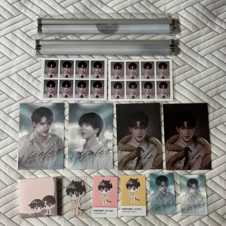 [BUNJANG] Healer Delta Full Goods Set - Scroll, Tapestry, Photocard, Postcard, ID Photo / 힐러 델타님 굿즈 세트 족자봉 태피스트리 포카 엽서 증사