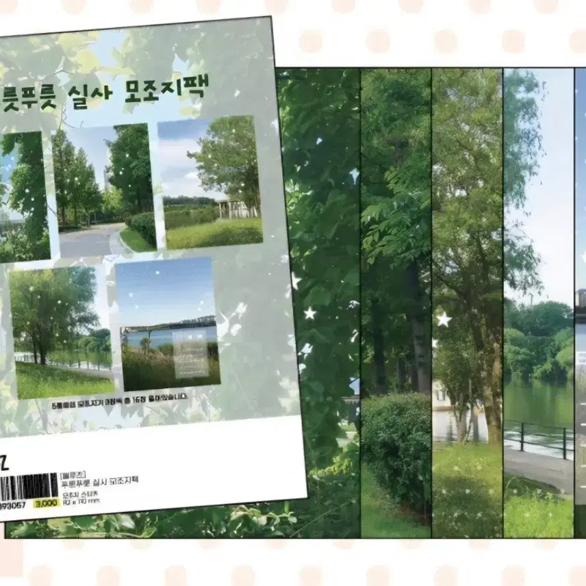 [BUNJANG] Blues Fresh Look Real Photo Munjiji Pack / 블루즈 푸릇푸릇 실사 모조지팩