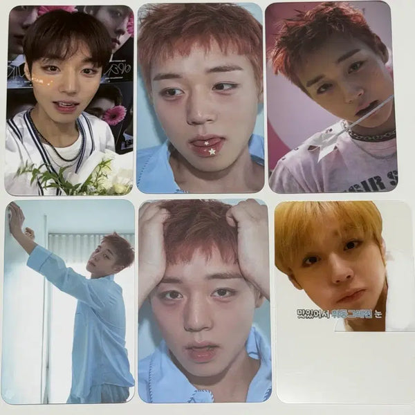 [BUNJANG] Park Ji Hoon Bundle Set Photocards / 박지훈 포카 비공굿 일괄