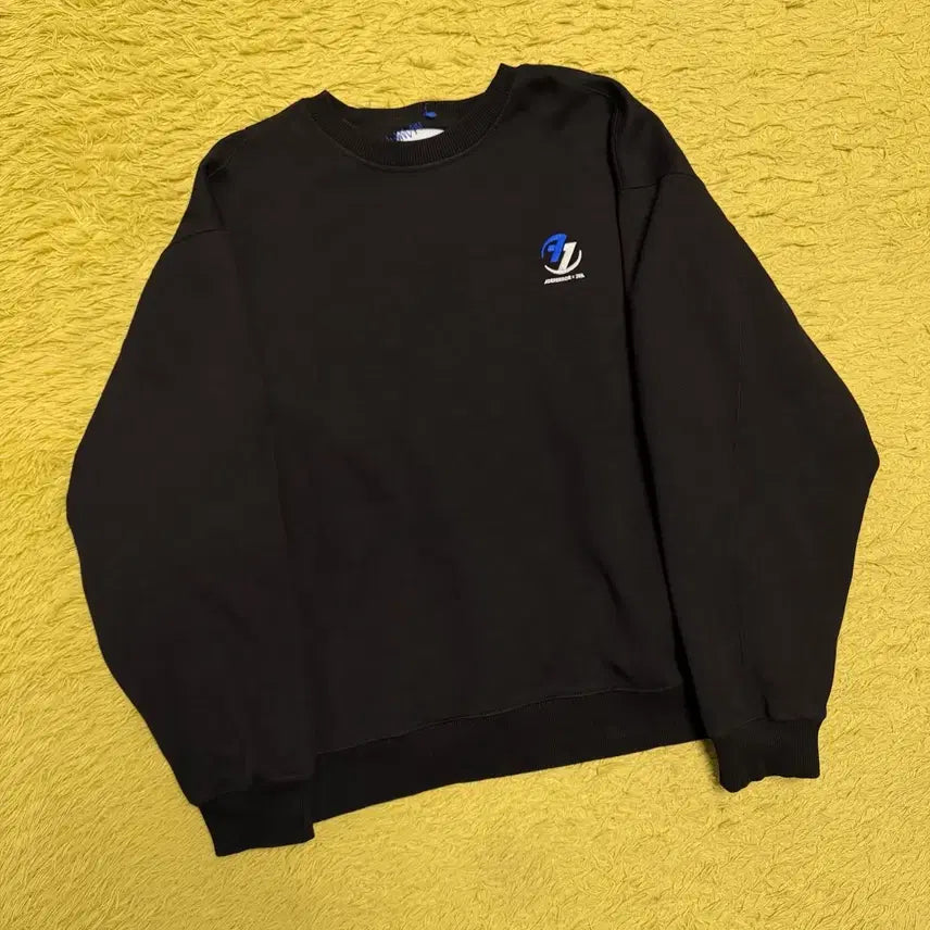[BUNJANG] ZARA x ADER Error Sweatshirt Black / 자라 아더에러 맨투맨 블랙 s-m