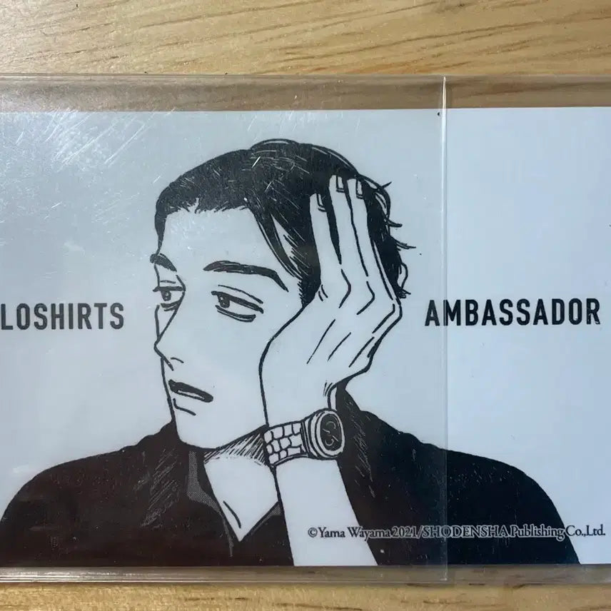 [BUNJANG] Kobayashi Photocard Sticker Bundle Set / 여학교의 별 고바야시 포토카드 스티커 일괄