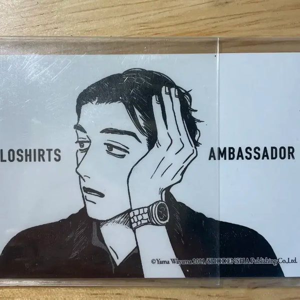 [BUNJANG] Kobayashi Photocard Sticker Bundle Set / 여학교의 별 고바야시 포토카드 스티커 일괄