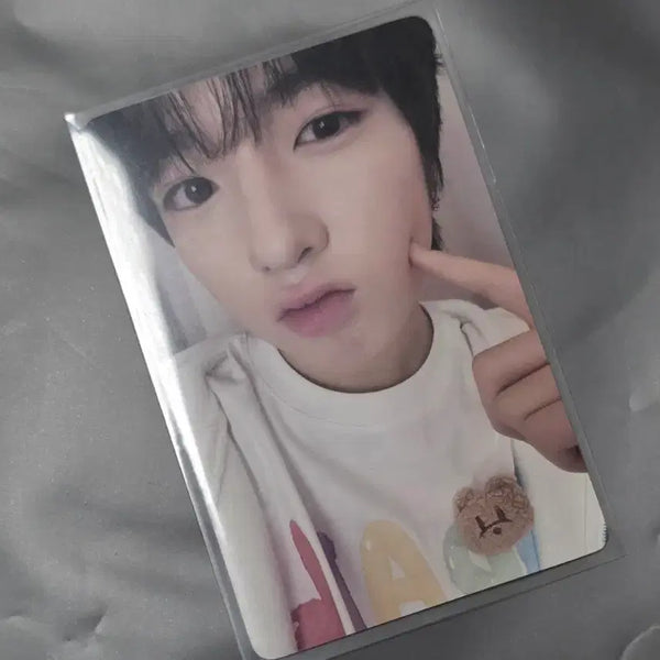 [BUNJANG] NCT WISH Sakuya Steadily IsWe Photocard / 엔시티위시 스테디 이즈위 사쿠야