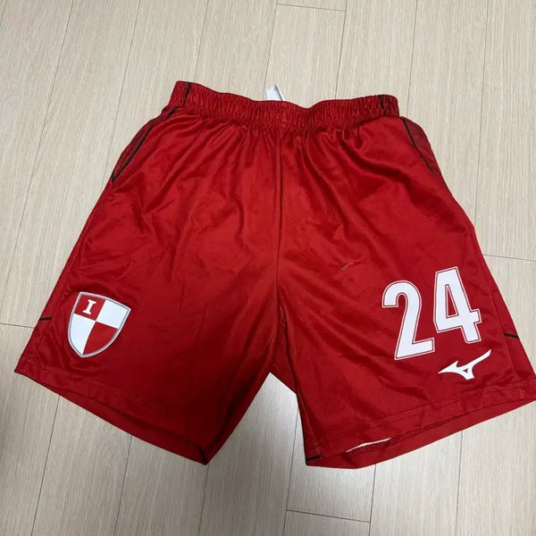 [BUNJANG] Busan IPark 2025 Mizuno Home Jersey (M) / 2025 부산아이파크 미즈노 홈 유니폼 M