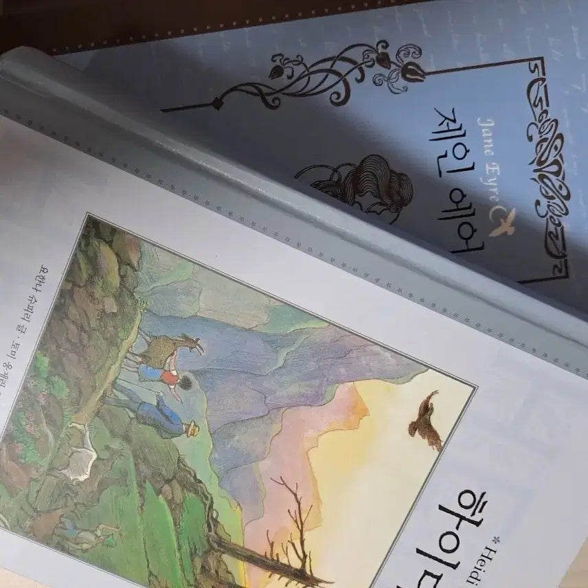 [BUNJANG] Jane Eyre & Heidi Novel Set / 제인에어 하이디 소설책 세트